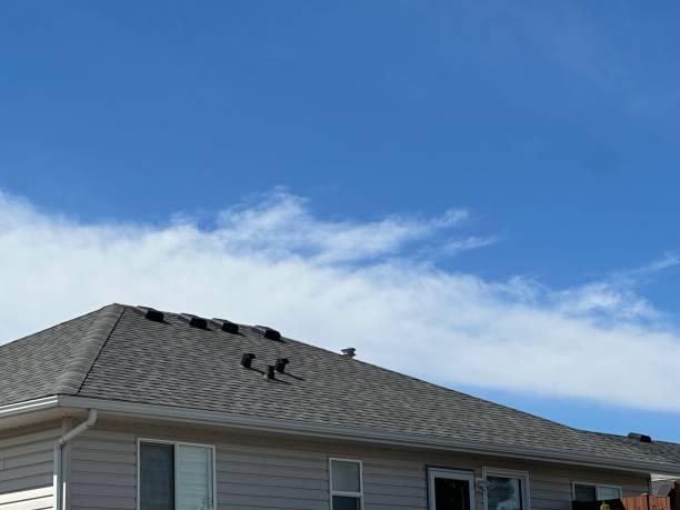 Best Emergency Roof Repair Services  in Kilauea, HI